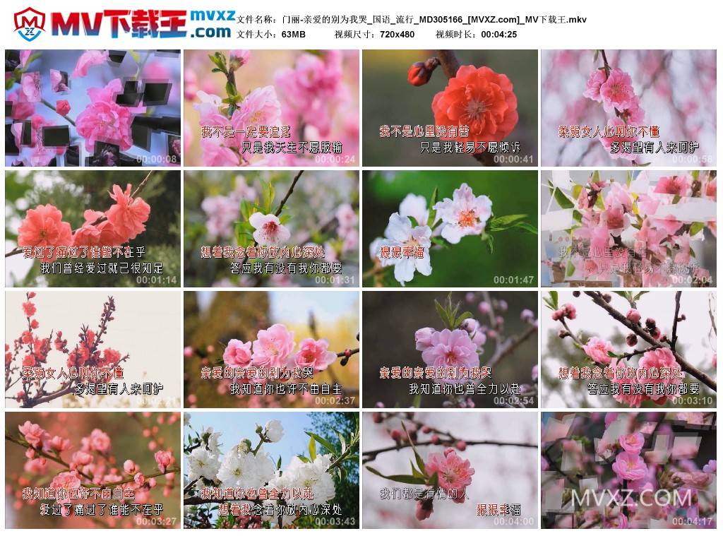 门丽-亲爱的别为我哭_国语_流行_MD305166